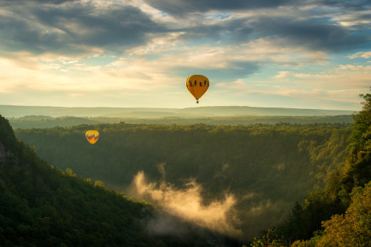 1756051 (a): :4000x2668